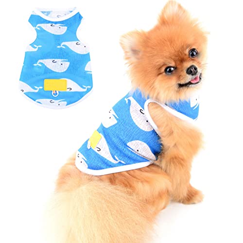 PAIDEFUL Hundehemd für Kleine Mittelgroße Hunde Katzen Mädchen Jungen Delfin-Aufdruck Eisgewebe T-Shirts Welpen Chihuahua Yorkie Kleidung Haustier Sommer Outdoor Blau S von PAIDEFUL