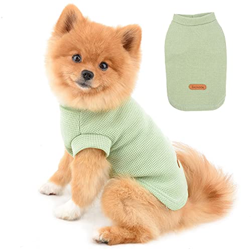 PAIDEFUL Hundehemden für Kleine Mittelgroße Hunde Katzen Jungen Mädchen Einfarbige Weiche Baumwollweste T-Shirts Sommer Ärmellose Atmungsaktive Tee Welpe Chihuahua Yorkie Kleidung Haustier Grün XXL von PAIDEFUL