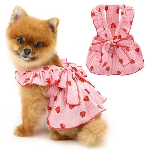 PAIDEFUL Hundekleid, niedliches Erdbeer-Haustierkleid für kleine Hunde, Mädchen, Sommer, Welpengurt, weich, atmungsaktiv, mit D-Ring-Schleife, Katzen-Prinzessinnen-Outfits, Chihuahua-Kostüm, Rosa, PAIDEFUL Hundekleid, niedliches Erdbeer-Haustierkleid für kleine Hunde, Mädchen, Sommer, Welpengurt, weich, atmungsaktiv, mit D-Ring-Schleife, Katzen-Prinzessinnen-Outfits, Chihuahua-Kostüm, Rosa, von PAIDEFUL