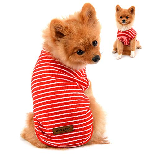 PAIDEFUL Kleidung für Kleine Hunde Junge Mädchen Sommer Gestreifte Welpe T-Shirt Weste Atmungsaktiv 100% Baumwolle T-Shirt Ärmelloses Chihuahua Yorkshire Rot XL von PAIDEFUL