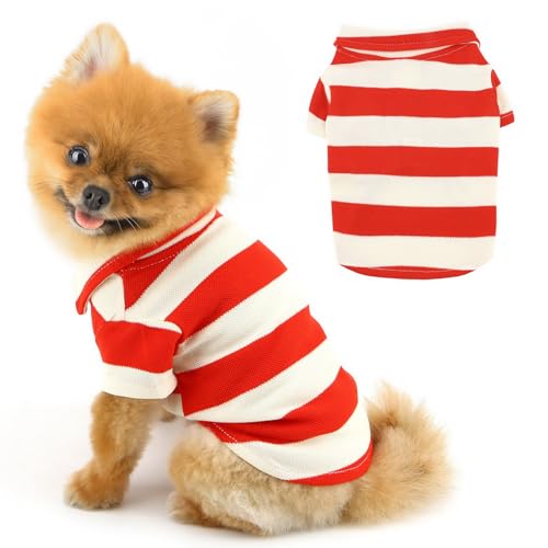 PAIDEFUL Kleine Hunde-Shirts, gestreift, weich, leicht, modische Welpen-Sweatshirts, Haustierpullover, Kleidung, Frühling, Sommer, Katzenkostüm, Chihuahua-Outfits, Rot, Größe L PAIDEFUL Kleine Hunde-Shirts, gestreift, weich, leicht, modische Welpen-Sweatshirts, Haustierpullover, Kleidung, Frühling, Sommer, Katzenkostüm, Chihuahua-Outfits, Rot, Größe L von PAIDEFUL