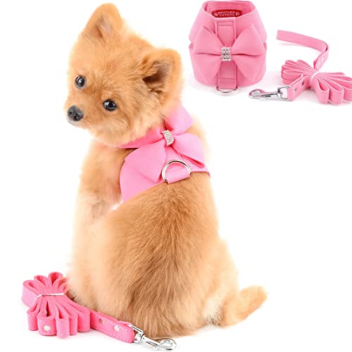 PAIDEFUL Kleines Haustier Hund Bling Strass Geschirr und Leine Set Schleife Mädchen Weiches Ultra Wildleder Einstellbar/Kein Ziehen Fluchtsicher Katzenweste Geschirr Haustier Welpen Brustgeschirr von PAIDEFUL