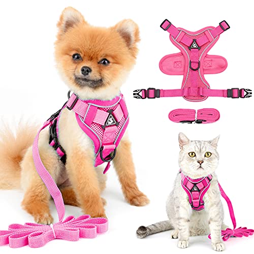 PAIDEFUL Reflektierendes Mesh Geschirr für kleine Hundeweste Geschirr Leinen Set Mittelgroßes Hündchen Fluchtsicheres Katzengeschirr Weich Gepolstert Kein Ziehen Gehen Im Freien Pink XL von PAIDEFUL