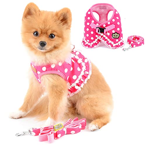 PAIDEFUL Rüschen Polka Dots Dress Harness für kleine Hunde Weste Harness Lead Set Medium Hündchen Mädchen Fluchtsicheres Katzengeschirr Weiches Mesh Gepolstert Kein Ziehen Rosa M von PAIDEFUL