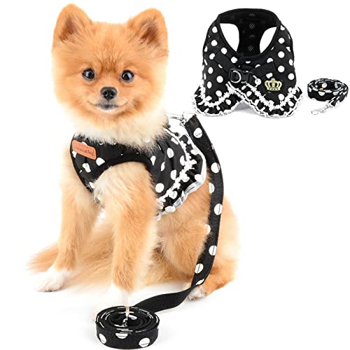 PAIDEFUL Rüschen Polka Dots Dress Harness für kleine Hunde Weste Harness Lead Set Medium Hündchen Mädchen Fluchtsicheres Katzengeschirr Weiches Mesh Gepolstert Kein Ziehen Schwarz XL von PAIDEFUL