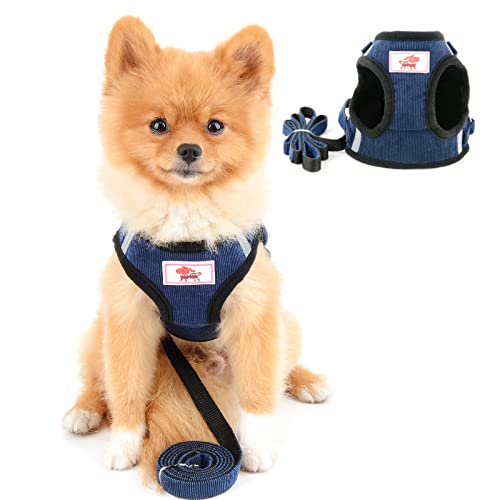 PAIDEFUL Weiches Netzgeschirr für Kleine Hunde Katzen Gepolsterte Weste Welpenleine Leine für Kätzchen Wanderjacke Verstellbarer Trainingskragen Cord Angenehmes Material Blau L von PAIDEFUL