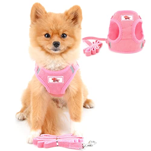 PAIDEFUL Weiches Netzgeschirr für Kleine Hunde Katzen Gepolsterte Weste Welpenleine Leine für Kätzchen Wanderjacke Verstellbarer Trainingskragen Cord Angenehmes Material Rosa XL von PAIDEFUL