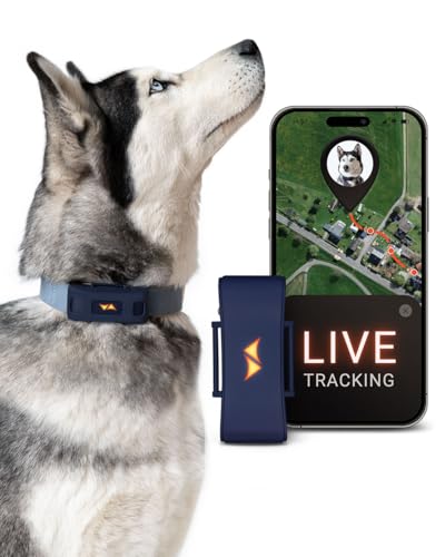 PAJ GPS Tracker für Hunde - 4G - Weglaufalarme + weltweite Live-Ortung - bis zu 10 Tage Akkusparmodus - Hunderückruf - mit Leucht-LEDs - Wasserdicht (IP67) - passt an jedes Halsband (Blau) von PAJ GPS