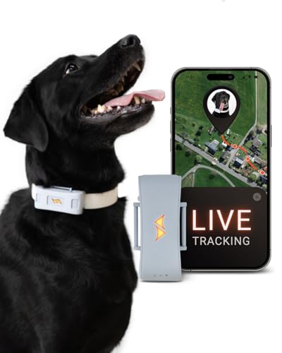 PAJ GPS Tracker für Hunde - 4G - Weglaufalarme + weltweite Live-Ortung - bis zu 10 Tage Akkusparmodus - Hunderückruf - mit Leucht-LEDs - Wasserdicht (IP67) - passt an jedes Halsband (Grau) von PAJ GPS