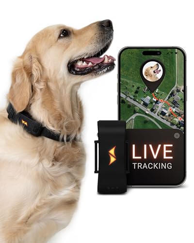 PAJ GPS Tracker für Hunde - 4G - Weglaufalarme + weltweite Live-Ortung - bis zu 10 Tage Akkusparmodus - Hunderückruf - mit Leucht-LEDs - Wasserdicht (IP67) - passt an jedes Halsband - schwarz von PAJ GPS