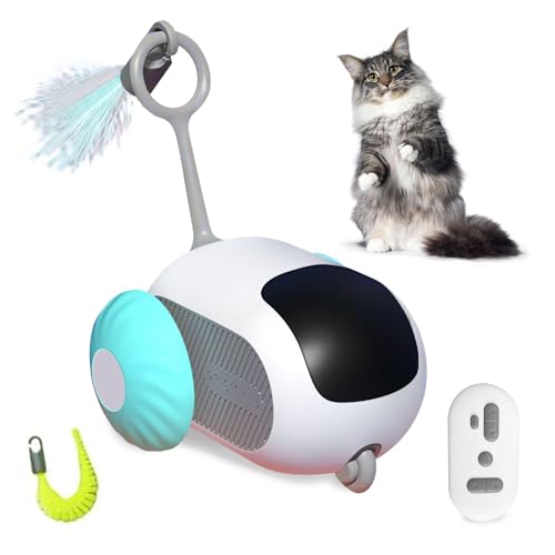 PAKESI Fernbedienung Smart Electric Cat Spielzeug, Interaktive Katze Spielzeug für Indoor Katzen, Gravity Automatische Mobile Auto Spielzeug, Katze Maus Spielzeug, Bewegliche Katze Spielzeug, USB wied von PAKESI