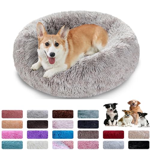 PAMEENCOS Hundebett Flauschig Rund Hundekissen Donut Katzenbetten Waschbares Hundekörbchen Für Kleine MittelgroßE Und GroßE Hunde Katzen Und Andere Haustiere (100cm,Beige) von PAMEENCOS