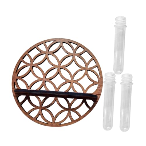 PAMINGONO 1 Satz Pflanzenregal Luftpflanze Terrarienröhre Saftige Wand Wandhängendes Terrarium Künstlich Wandhängendes Pflanzenterrarium Outdoor-Pflanzen Blumentöpfe Anlage Draussen Plastik von PAMINGONO