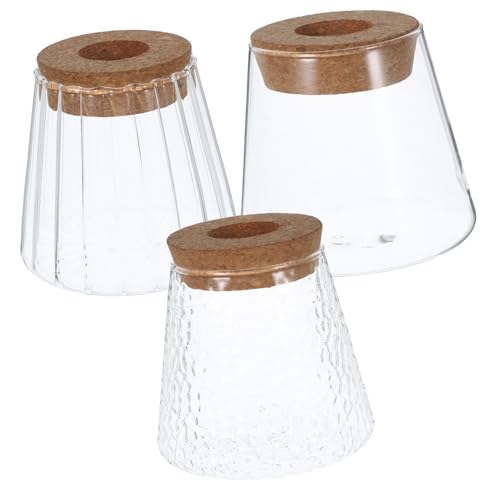 PAMINGONO 3st Hydro Ponische Pflanzen Flasche Vermehrungsvasen Für Pflanzen Sukkulenten Terrarium Hydrokultur-pflanzgefäß Pflanzenzubehör Ausbreitungsstationen Boho-dekor Glas Transparent von PAMINGONO