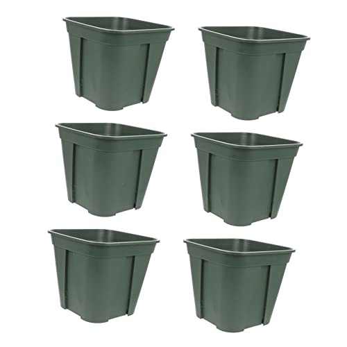 PAMINGONO 6er Set Anzuchttöpfe Aus Wetterfeste Viereckige Blumentöpfe Für Pflanzen Ideale Pflanzcontainer Für Garten Und Balkon Atmungsaktive Pflanzengefäße Für Gesunde von PAMINGONO