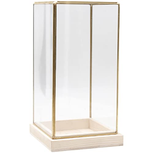 PAMINGONO Antike Glasbox Mit Messingdeckel Vintage Aufbewahrungskiste Für Schmuck Modelle Und Sammlerstücke Dekorative Vitrine Für Zuhause Kleine Größe Klarer Sichtschutz von PAMINGONO