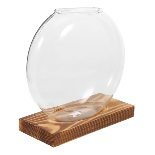 PAMINGONO Hydroponische Vase Tischvase Wiederverwendbarer Air-Layering-pod Grüne Vase Klarer Behälter Container Hausvase Würfel Aufbewahrungsbehälter Für Vorschläge Vasen Transparent Hölzern von PAMINGONO