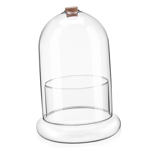 PAMINGONO Mikrolandschaftsmoosbedeckung Klare Displaykuppel Moos Landschaft Container Terrarienkuppel Mini Kuchenkuppeln Getrocknetes Moos Glocke Terrarium-kit Erhaltene Blumenkuppel Glas von PAMINGONO