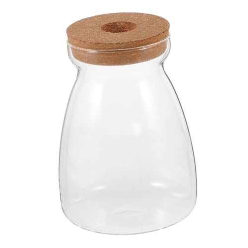 PAMINGONO Ökologische Mikrolandschaftsflasche Blumenvase Für Hydrokultur Pflanzenvase Mit Holzdeckel Hydrokultur-pflanzgefäß Mit Holzdeckel Desktop-pflanzenvermehrung Transparent Glas von PAMINGONO