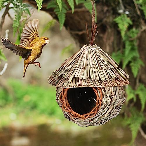 PANGHUBO Vogelhaus, handgewebtes Kolibrihaus, Kanarienvögelhäuser für draußen, Vogelhaus für Gartenfenster, Outdoor, Heimdekoration (A) von PANGHUBO