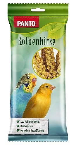 PANTO Kolbenhirse – naturbelassener Knabberspaß für Ziervögel – handverlesenes Vogelfutter zur Beschäftigung von Wellensittichen, Papageien, Kanarienvögel – 18 x 100 g von PANTO