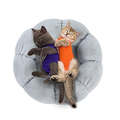 PAPIEEED Warmes Plüsch-Katzenbett, weiche Blume Kätzchen-Kissen Matte Niedlich Welpen Katze Kuscheltier für Winter Teppich für Welpen Kätzchen von PAPIEEED