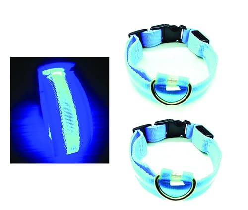 PARENCE. - 2 Leuchthalsbänder für Hunde, Größe S und L, 3 Beleuchtungsmodi/LED-Halsbänder für Haustiere mit Schnalle und Clip-Verschluss – S = 40 cm/L = 55 cm, Blau von PARENCE