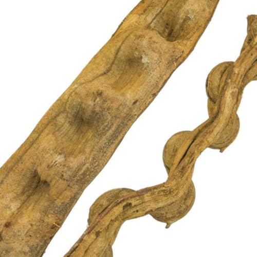 Naturliane - Spielzeug oder Sitzstange für große Papageien, Durchmesser 4 bis 6 cm Länge 100-120cm, Naturliane, Papageienspielzeug, Vogelstange, große Papageien, Papageienzubehör von PARROTPLANET.PL