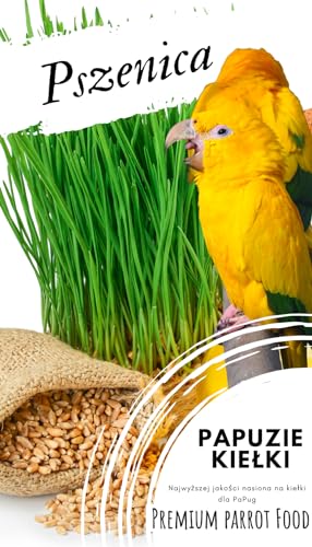 Premium Parrot Food | Weizen | Sprossensamen | Für Papageien 50G von PARROTPLANET.PL