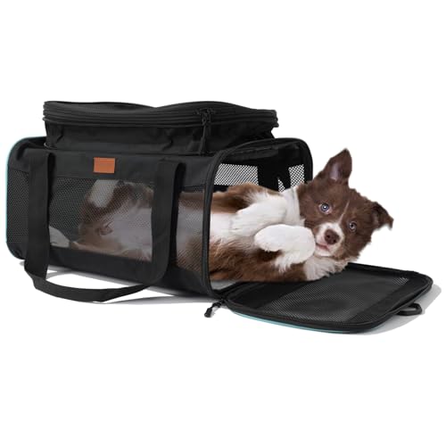 Patazone Schwarze Tragetasche für Katzen, kleine Hundetasche, oben erweiterbar, von Fluggesellschaften zugelassen, garantiert auf Carbin-Board (neu, schwarz) von PATAZONE