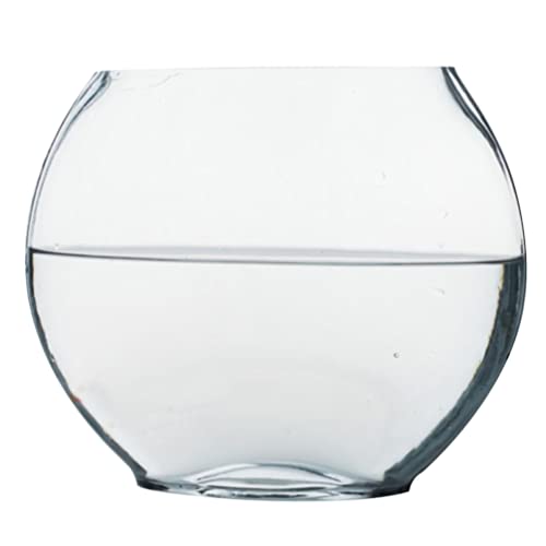 PATKAW Flaches Fischbecken Aquarienbecken Für Den Haushalt Klarer Blasenpflanzer Kleines Goldfischaquarium Fischtopf Für Den Haushalt Vase Für Aquarien Minitöpfe Glas Anlage Betta Fisch von PATKAW