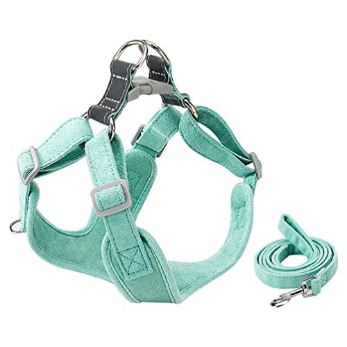 PATKAW Welpengeschirr Welpen-Shirts Hundegeschirr mit Leine Set Pet Weste Harness Einstellbarer Hund Brust- Hunde- Hunde- Kabelbaum für Kleine Hunde Katzen Die Grüne Xs Tragen Halloween von PATKAW