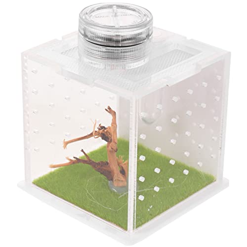 PATKAW Spinnen Terrarium Für Schnecken Sprunggehege Transparent Terrarium Acryl Reptilienzuchtbox Lebensraumkoffer Für Vogelspinne Gottesanbeterin Gecko Springspinne Set Reptichip von PATKAW