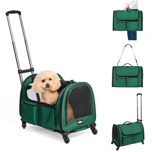 Paw Ballet Katzentragetasche mit Rollen, faltbare Rolltasche für Hunde mit Rollen und großer Tasche, große Katzentragetasche, Reisetasche für 2 Katzen, Hunde unter 11,3 kg, für Tierarztbesuche im von PAW BALLET