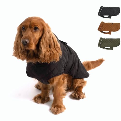 PAW WOW Fritz Hundemantel | Hundejacke mit Bauchschutz und Klettverschluss | Hundejacke Winter für kleine und mittelgroße Hunde (Schwarz, M) von PAW WOW