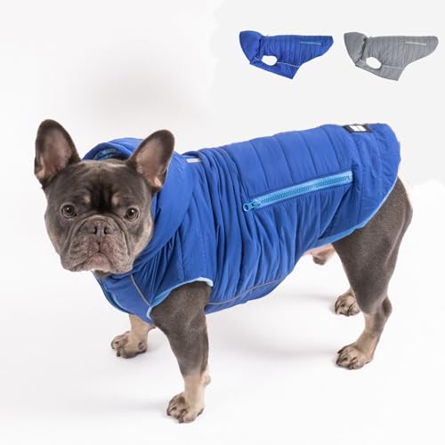 PAW WOW IMMI Hundejacke | Hundemantel | Jacke für kleine, mittelgroße und große Hunde für kalte Tage (Blau, M) von PAW WOW
