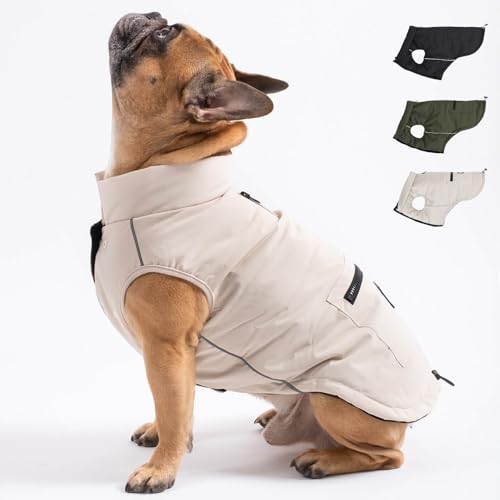 PAW WOW Toni Hundejacke | Winter Hundemantel mit Bauchschutz | Hundeweste für große & kleine Hunde (Beige, M) von PAW WOW