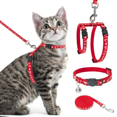 PAWCHIE Katzengeschirr mit Leine und Halsband, ausbruchsicher, verstellbar, leuchtet im Dunkeln, für Kätzchen, Spaziergänge im Freien von PAWCHIE