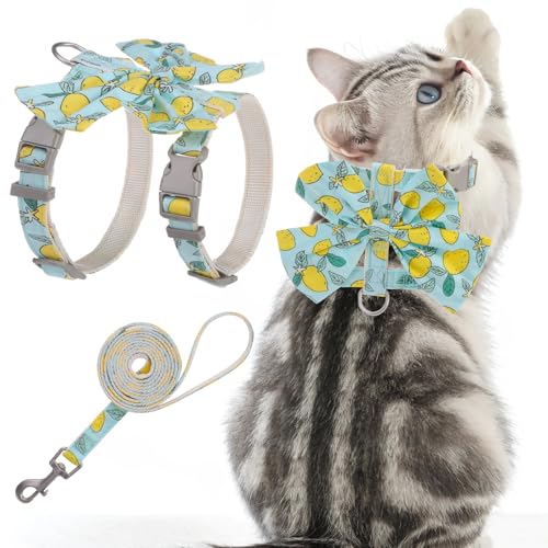 PAWCHIE Katzengeschirr und Leine, Set mit Schleifenknoten, ausbruchsicher, verstellbares Gänseblümchen-Blumenmuster, weich, Outdoor, Spaziergänge, Reisen, Haustiergeschirr, Welpengeschirr für Mädchen, von PAWCHIE