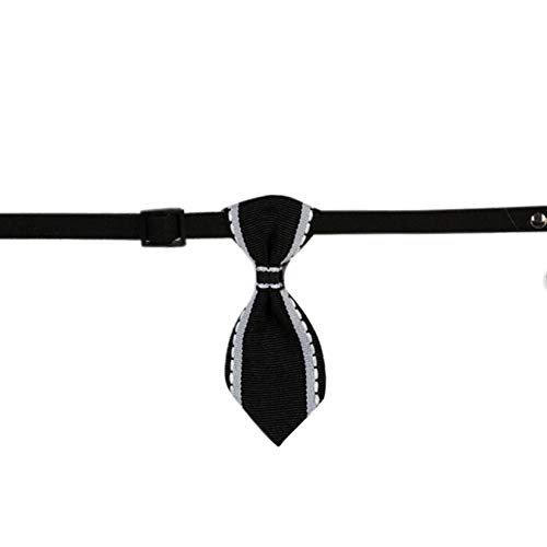 PAWHITS 2PCS Hund Katze Fliege Gentleman Haustier Halsband Nette Halskette Halsriemen Für Haustier Kostümzubehör von PAWHITS