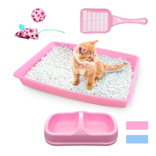 PAWISE Katzentoiletten-Set, kleines Katzenkätzchen-Starter-Set, inklusive Kitty-Katzentoilette, Katzenstreuschaufel, Doppelschale, Katzen-Maus-Spielzeug, Katzenball-Spielzeug von PAWISE