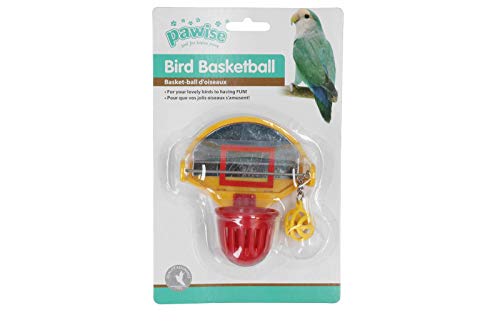 PAWISE Bird Scoot The Ball von PAWISE