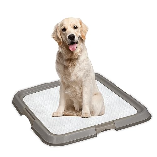 PAWISE Hundetraining Pad Halter Tablett, Indoor Welpen Töpfchen Pee Pad Boden Tablett, 23,5 x 23,5 Zoll, groß von PAWISE