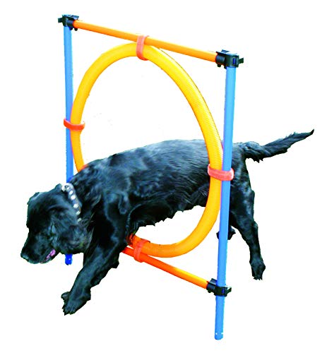 Pawise 11433 Agility Sprungring Hunde Trainingshürde Jumping Ring von PAWISE