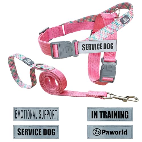 PAWORLD Hundegeschirr mit Leine, Diensthundegeschirr, Norwegergeschirr Hund, Sicherheitsgeschirr mit 4 reflektierenden Aufnähern, Griff, für Spaziergänge, Training und Laufen (Rosa, S) von PAWORLD