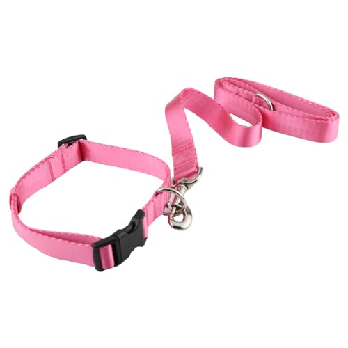 Pawpourri Kombination aus hochwertiger Polyester-Hundeleine mit starkem Haken und Hundehalsband mit verstellbarer Schnalle, geeignet für kleine bis große Hunde (Rosa, L) von PAWPOURRI