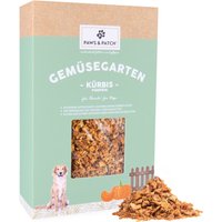 PAWS & PATCH Kürbisflocken - 2 x 700 g von PAWS & PATCH