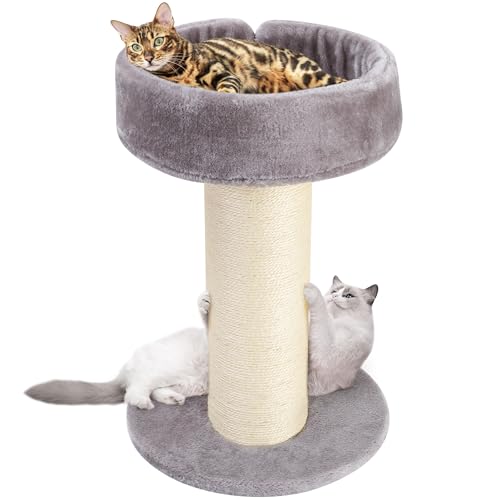 Katzenkratzbaumbett, hoher Katzenkratzer für Indoor-Katzen mit superdickem Natursisal-Kratzbaum [Durchmesser = 15,2 cm), abnehmbares, flauschiges Katzenbett für Kätzchen und ausgewachsene Katzen von PAWSCRAT