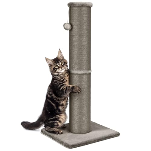 PAWSCRAT Katzenkratzbaum 81.3 cm hoch, 14.9 cm Großer Durchmesser Natürlicher Sisal Katzenkratzbaum, Kratzfest und Langlebig Hoher Katzenkratzer für Indoor Katzen, Schützen Sie Ihre Möbel, Gery von PAWSCRAT