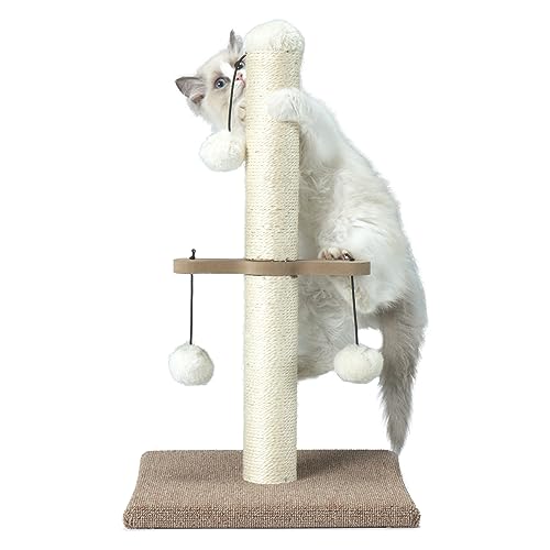 PAWSFANS Kratzbaum, kleine Sisal-Kratzbäume für Kätzchen im Innenbereich und kleine Katzen, mit hängendem Ballspielzeug, 53,3 cm, Beige von PAWSFANS